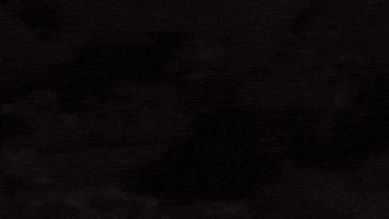 Gila Monster Lizard GIF