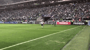 Skills GIF by SE Palmeiras