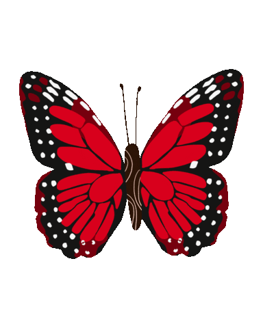 Fly Butterfly Sticker
