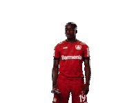 Bayer 04 Selfie Sticker by Bayer 04 Leverkusen