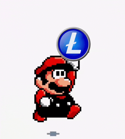 flashtrader1 litecoin ltc flashtrader1 GIF