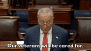 Chuck Schumer Debt Ceiling GIF by GIPHY News