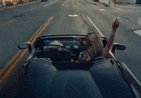 Best Friends Dancing GIF by DC The Don