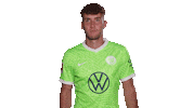 Swipe Up Champions League Sticker by VfL Wolfsburg