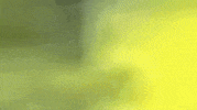 todays hits GIF by Burger Records