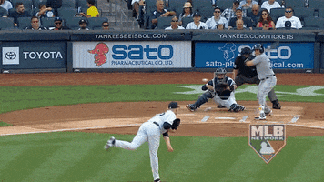 travis hrs GIF by MLB
