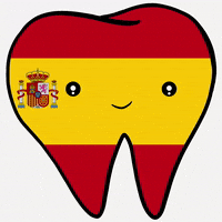 Flag Smile GIF
