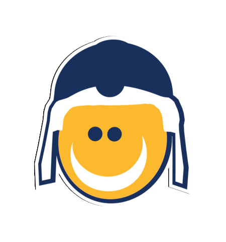 Nordeste Flavioleandro Sticker
