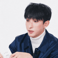 Dk 세븐틴 GIF