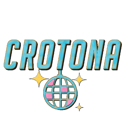 WeAreCrotona giphyupload disco events we are crotona Sticker