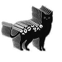 Cat Love Sticker