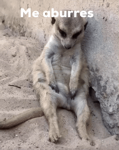 La vida es aburrida