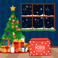 kojiwhite happy party snow xmas GIF