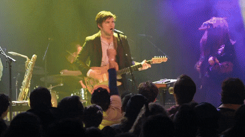 darkaegis giphyupload music eating concert GIF