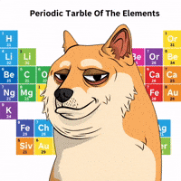 Shiba Inu Dog GIF by Doge Pound