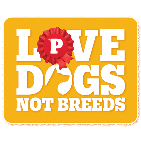 Pedigree_Philippines dogs puppy pet adoption Sticker