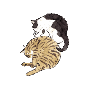 Cat Sleep Sticker
