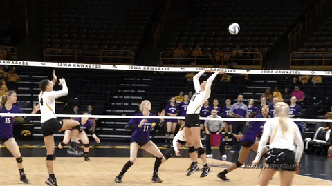 volleyball GIF by University of Iowa Hawkeyes Athletics