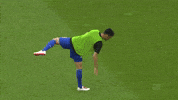 Football Soccer GIF by FC Schalke 04