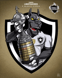 Botafogo De Futebol E Regatas GIF