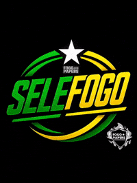 Botafogo De Futebol E Regatas Bfr GIF