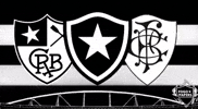 Botafogo De Futebol E Regatas Bfr GIF