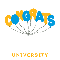 New York College Sticker by Pace University