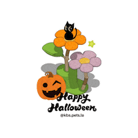 Happy Halloween Sticker by KBSPETS