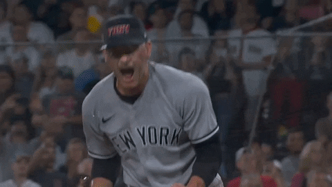 Excited Lets Go GIF by YES Network