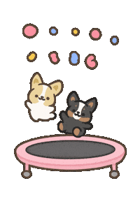 New Year Celebration Sticker by corgiyolk