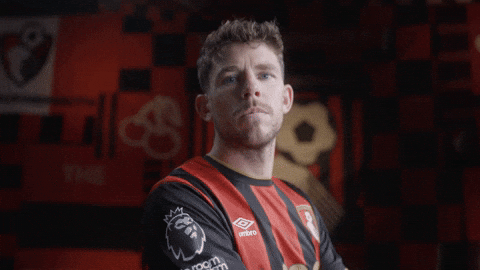 Premier League Football GIF by AFC Bournemouth
