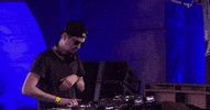 Tomorrowland GIF by Robin Schulz