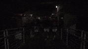 Jacoby Brissett Football GIF by New England Patriots