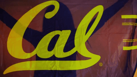 calathletics giphyupload sports sport giphysports GIF