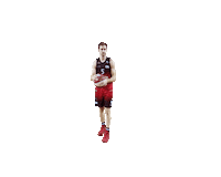 spiroucharleroi alex 5 pass spirou Sticker