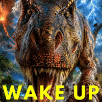 Confused Wake Up GIF