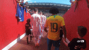 selecao brasileira soccer GIF by Confederação Brasileira de Futebol
