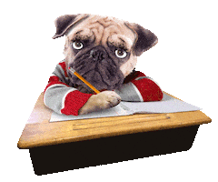 Tired Back To School Sticker by chris timmons