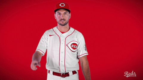 Albert Almora GIF by Cincinnati Reds