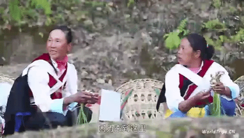 minorities shao shu min zu GIF