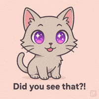 Cute Cat Wonder GIF by Persona