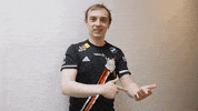 League Of Legends Point GIF by G2 Esports