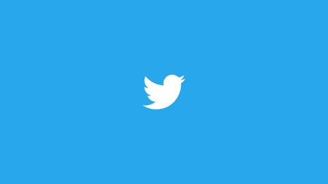 twitter GIF