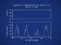 Spaceship Earth Neonrated GIF by NEON