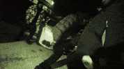 Nyc Wish GIF by Giant Music