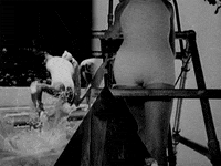 raoul walsh GIF by Warner Archive