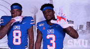 College Sports Ncaa GIF by SMU Football