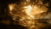 Emerge Ori And The Will Of The Wisps GIF by Xbox