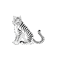 Year Of The Tiger Cheers Sticker by YEAR OF