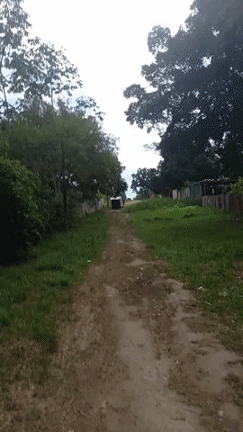 danielguimond arteduro GIF